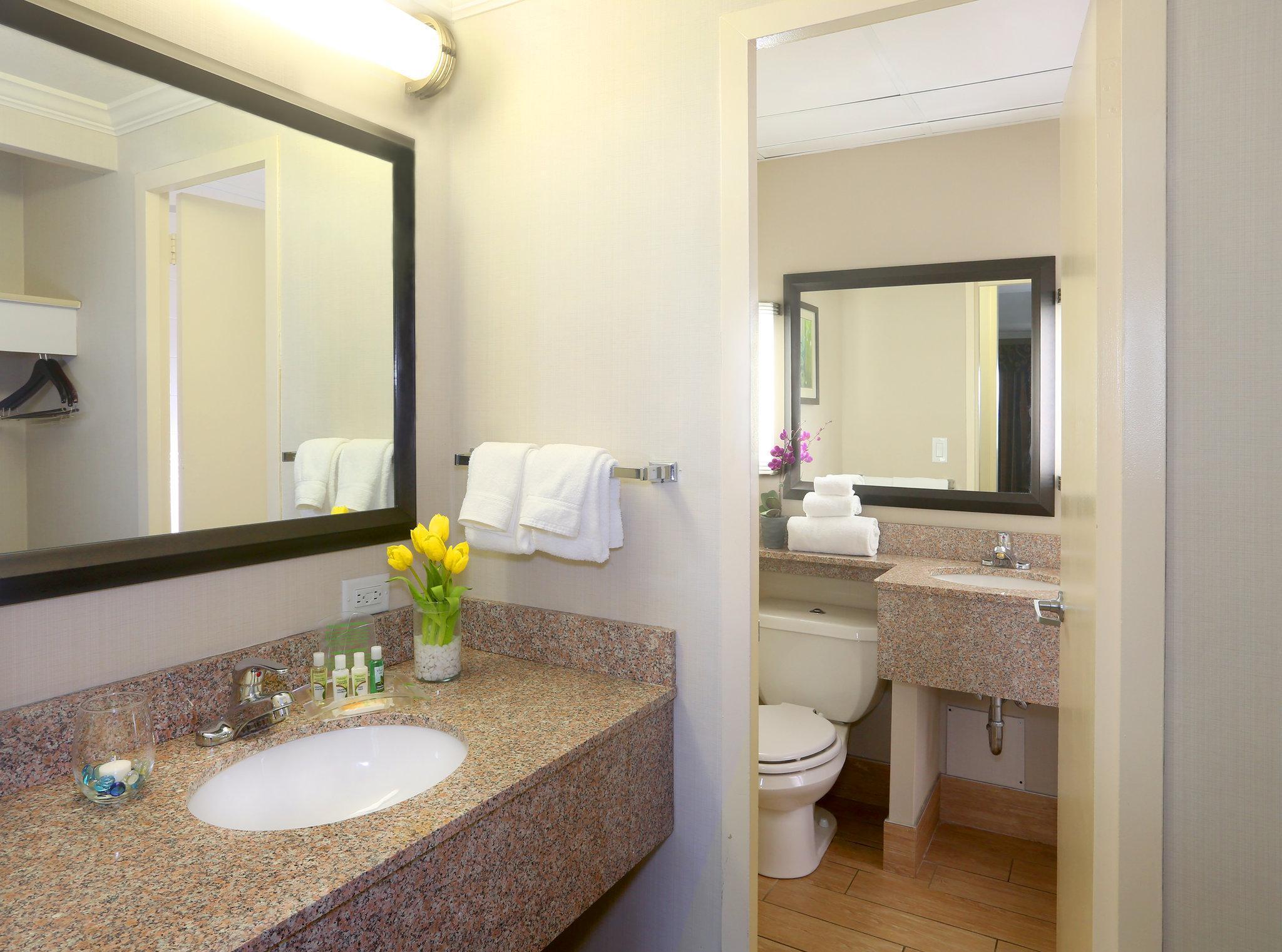 Holiday Inn Binghamton-Downtown Hawley Street By Ihg Exterior photo