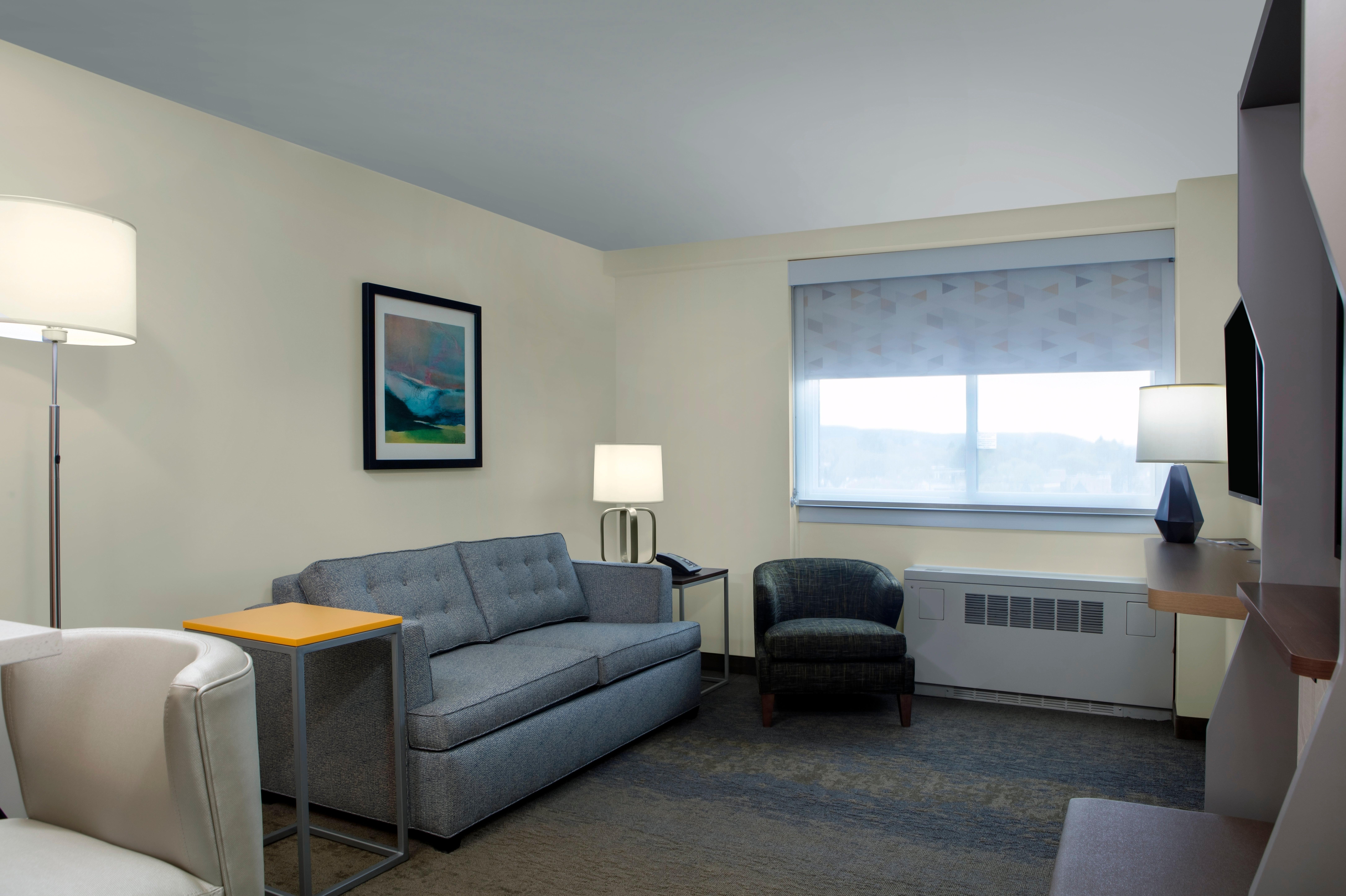 Holiday Inn Binghamton-Downtown Hawley Street By Ihg Exterior photo